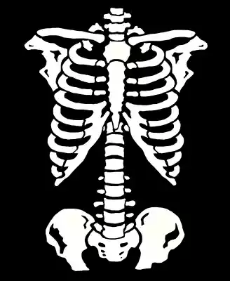 vectores plantilas DÍA DE MUERTOS,VECTOR,